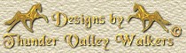 Websites and Equine Designs by Thunder Valley Walkers